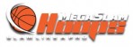 MegaHoops logo